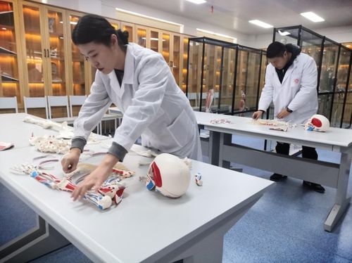 昆明高级技工学校 云南五年一贯制大专 健康服务与管理专业招生